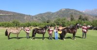 Criadores de Cordillera tienen todo listo para la Expo Pirque en La Espuelita