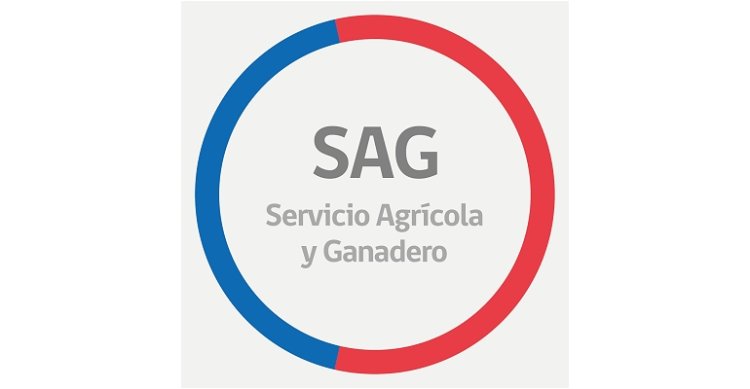 SAG confirma caso de Anemia Infecciosa Equina en comuna de San Pedro de Melipilla