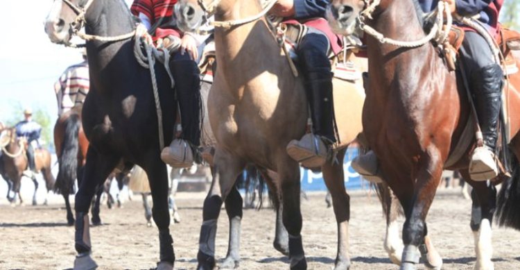 Criadores de Talca corren y hacen llamado a la solidaridad huasa