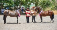 Cuento Corto y Enamorá encabezaron a los últimos clasificados para Final de Expos en Calle Larga