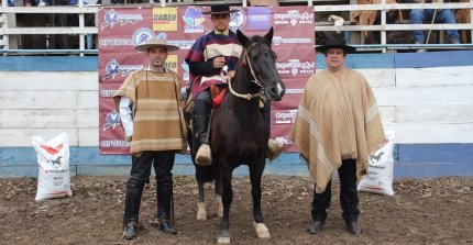 Revisa el listado de participantes para la Final de Barrilete Chileno