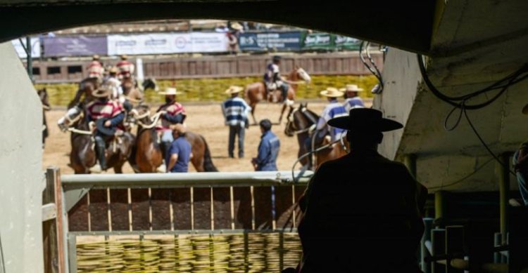 Ferochi sacó cuentas positivas del Taller de Bienestar Animal para personal de corrales y coleros