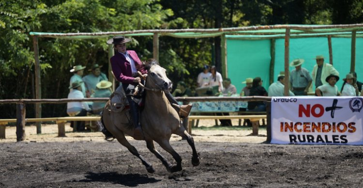 Escuadras Ecuestres serán gran atractivo de las Finales de Exposiciones y Pruebas Funcionales