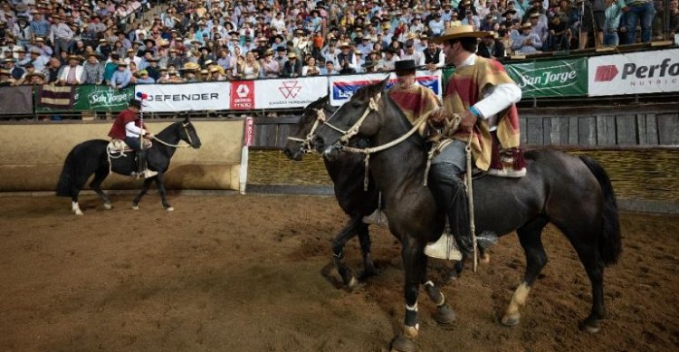 ¿Qué es y cómo funcionará la video asistencia para los jurados de Rodeo?