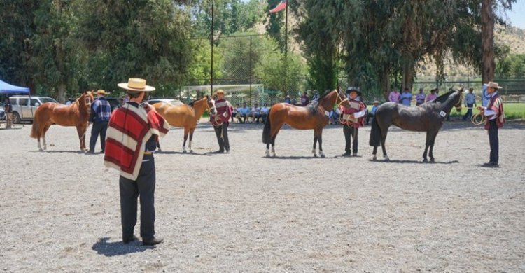 Expo Nacional y Final de Pruebas Funcionales inician la fiesta veraniega en Calle Larga