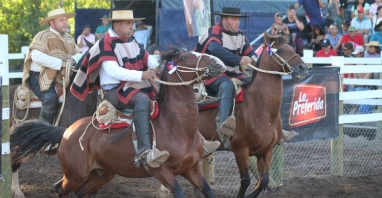 La Final de Aparta de Ganado que coronó como bicampeón a Los Aromos