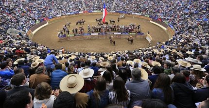 Comienza la renovación de tribunas preferenciales para el 76° Campeonato Nacional de Rodeo