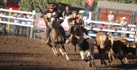 La entretenida Final de Aparta de Ganado Calle Larga 2025