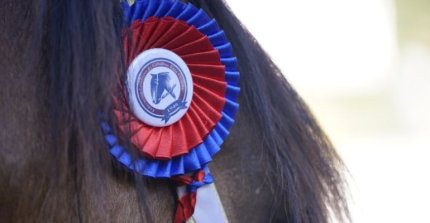 ¿Dónde ver por streaming la Final de Rodeos para Criadores de Calle Larga?