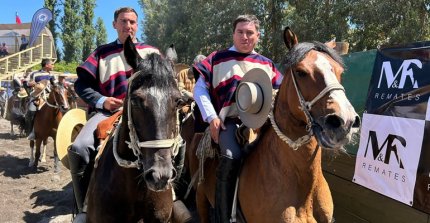 Los resultados de la Final de Rodeos Para Criadores Calle Larga 2025