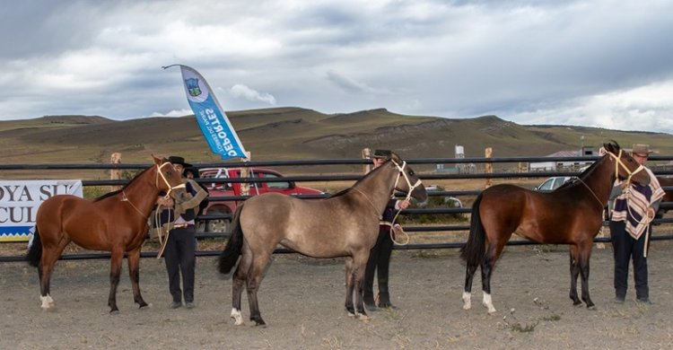 Fiesta a la Chilena en Torres del Paine 2025 incluye exposición y aparta