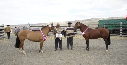 Coqueta e Hilo Rojo arrasaron en la Expo Torres del Paine 2025