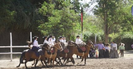 Delegación de amazonas chilenas participará de Fiesta Internacional del Caballo en México