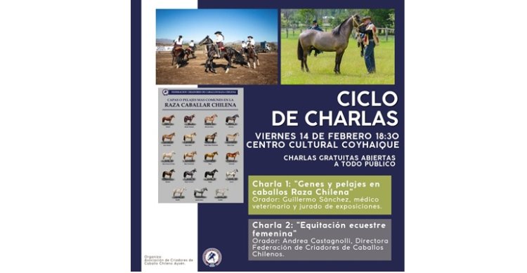 Criadores de Aysén acercarán el Caballo Chileno a la comunidad con interesantes charlas