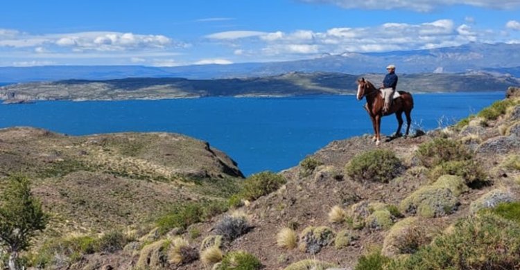 Criadores de Aysén tuvieron otra provechosa participación en Cabalgata Tierra de a Caballo