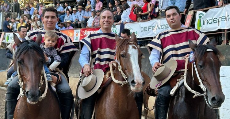 Un resumen de todas las colleras premiadas en San Clemente al Champion de Chile