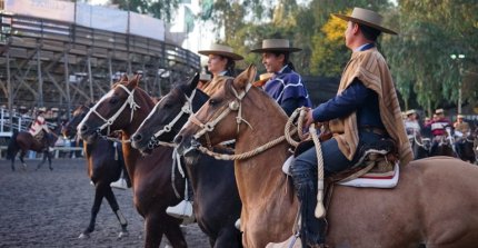 A las 07:30 se corre la Serie Criaderos del Clasificatorio Zona Norte de Melipilla