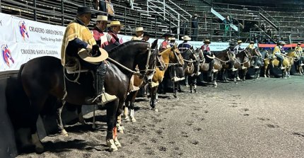 Santiago Sur y Talagante lideran las asociaciones premiadas en Melipilla