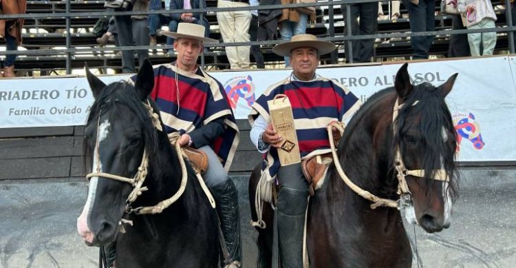 Palmas de Peñaflor ganó con categoría la Serie Potros de Melipilla