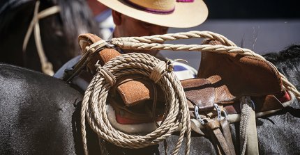 Se conocieron los ganadores del concurso literario "Letras del Campo y el Caballo Chileno"