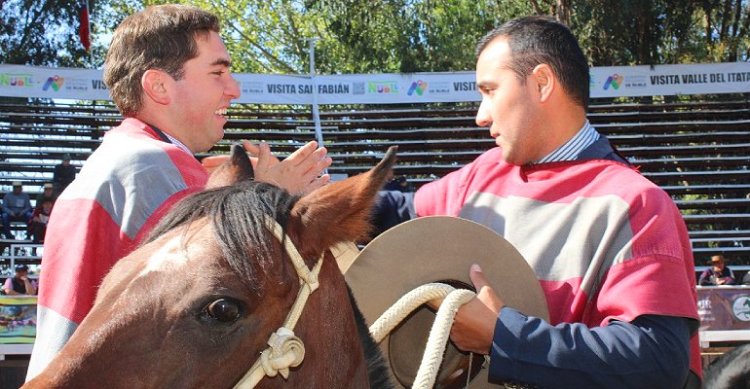 Curicó, Chiloé y Cautín cerraron el último lote del centro sur que va a Rancagua