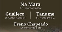 Criaderos Ña Mara, Gualleco, Tanumé y Freno Chapeado tiene remate este miércoles