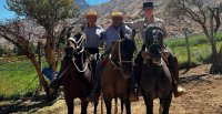 Una visita que unió Marchtrenk con Cochiguaz gracias al caballo chileno