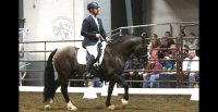 [Opinión] Se trata de mostrar que el caballo que criamos con tanto esfuerzo tiene un lugar en el mundo
