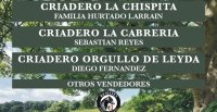 Criaderos La Chispita, Cabrería y Orgullo de Leyda tiene remate este miércoles