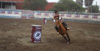Criadores de Limarí tienen interesante agenda para los próximos días
