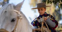 Cultura huasa en la Monumental: Cueca, artesanía y caballos chilenos brillaron en Día de los Patrimonios