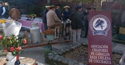 Criadores de Colchagua realizarán este jueves su asamblea de socios