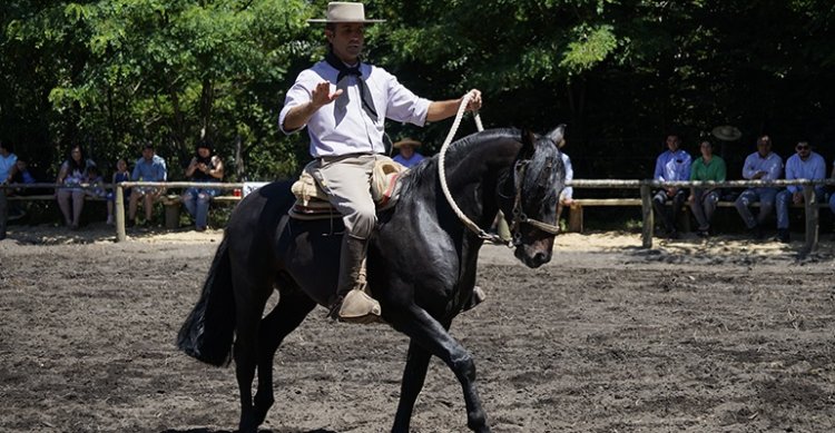 Rodrigo Castell: Estoy con muchas ganas y curiosidad de ir a Arica