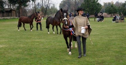 Criadores de Colchagua planificaron el segundo semestre con interesantes actividades