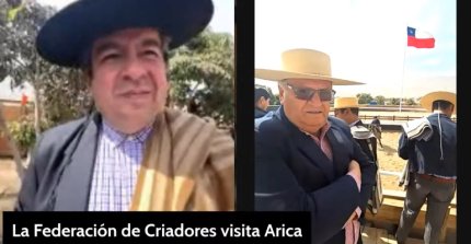 Raza Chilena en la visita de la Federación de Criadores a Arica