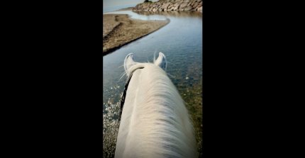Turistea Diferente: Incluye una Cabalgata en tu próximo viaje
