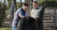 Gustavo Cárcamo y viaje a Alemania: Estamos felices de apoyar a la Federación de Criadores