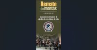¡A participar! Remate de montas a beneficio de los Criadores de Talca está en desarrollo