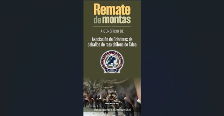 ¡A participar! Remate de montas a beneficio de los Criadores de Talca está en desarrollo
