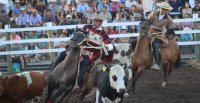 Fecha de Pruebas Funcionales de los Criadores de Linares toma mucha fuerza