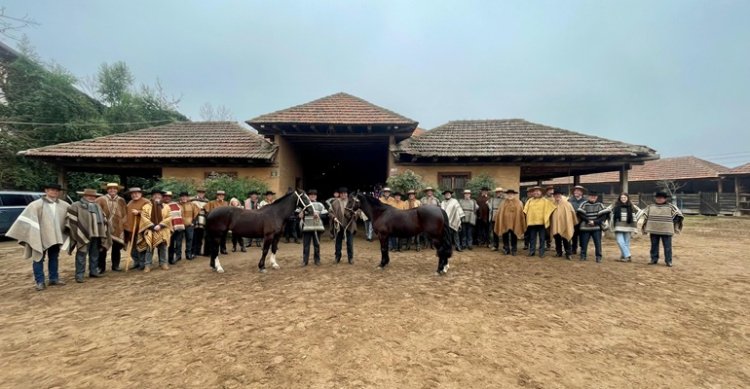 Criadores de Casablanca disfrutaron de un Día de Campo inolvidable en Doña Dominga