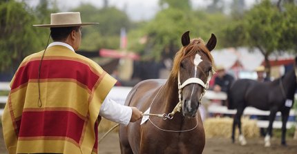 Jurados de Exposiciones se reunirán en el Parque Mahuida para definir lineamientos de la temporada