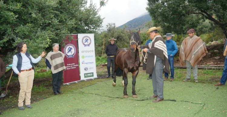 Condición Corporal: El foco a tener en cuenta en las exposiciones para la Temporada 2025-2026