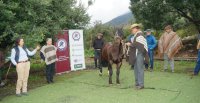 Condición Corporal: El foco a tener en cuenta en las exposiciones para la Temporada 2025-2026