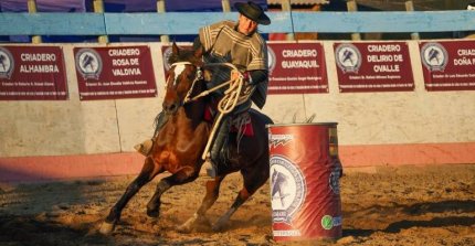 Criadores de Limarí efectuaron con éxito nueva fecha de Pruebas Funcionales