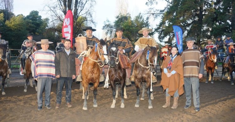 Primera fecha de Pruebas Funcionales de los Criadores de Linares fue un éxito en San Javier