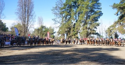 La gran Final de Aparta en las Pruebas Funcionales de los Criadores de Linares