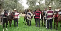 La emoción de los nuevos criadores de Arica al recibir sus potrillos de Raza Chilena