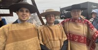 Raza Chilena en Brasil: Detalles de la visita de los criadores chilenos al Freno de Oro