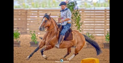 Un Freno de Oro 2025 marcado por la herencia del legendario Hornero